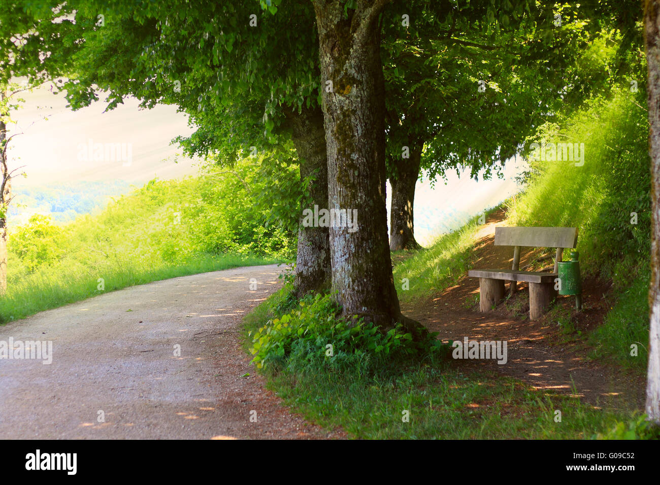 way through the mountains with a bench under tree Stock Photo