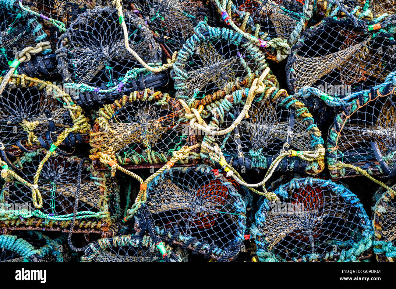 lobster trap Stock Photo