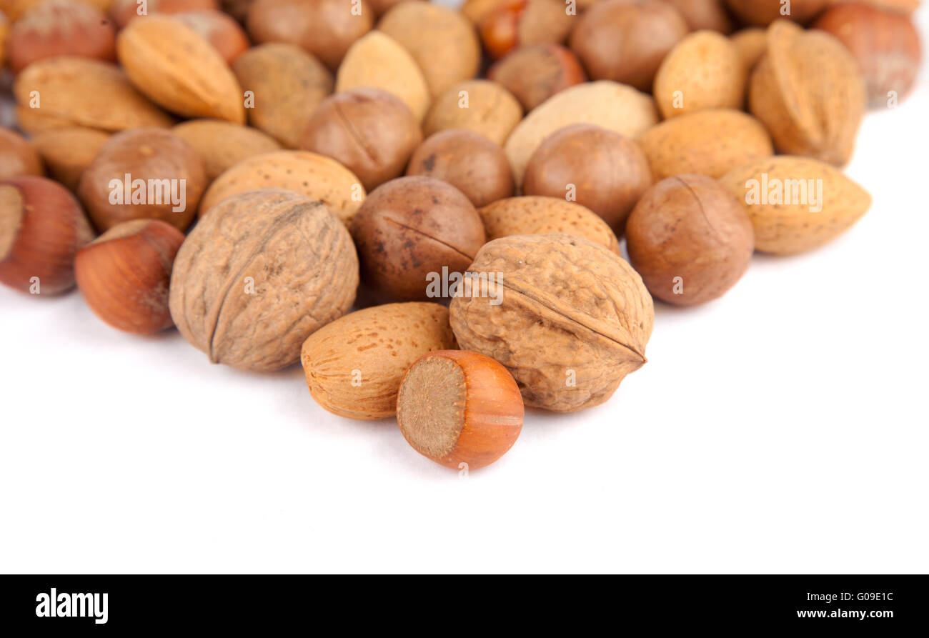 Hazelnut and other nuts Stock Photo Alamy