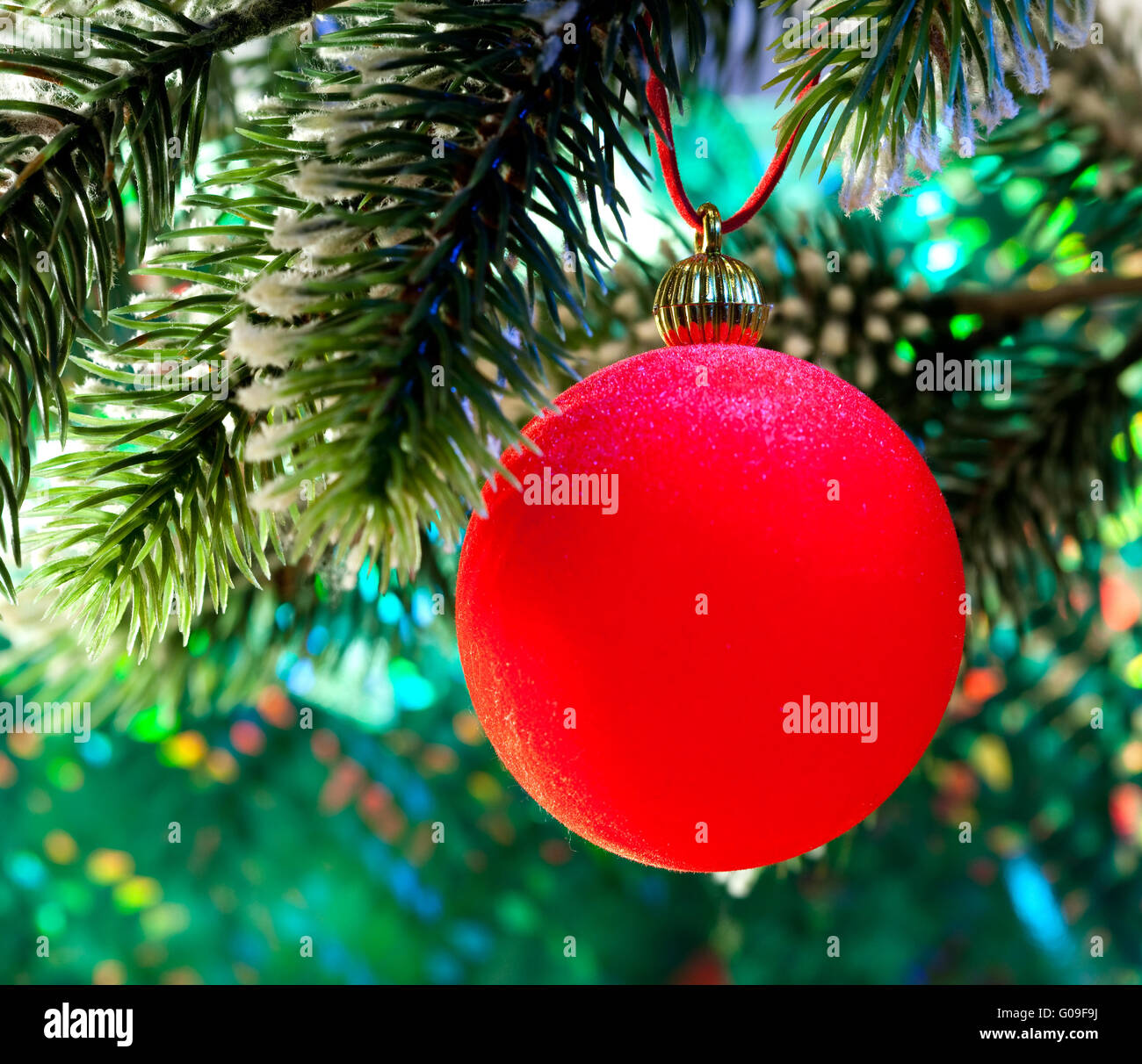 Red New Year's ball on a branch of a Christmas tre Stock Photo - Alamy