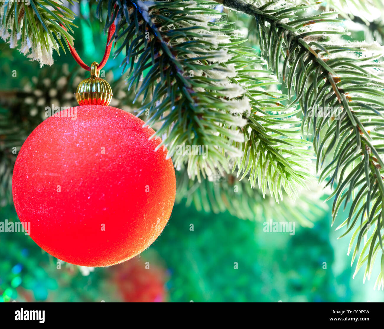 Red New Year's ball on a branch of a Christmas tre Stock Photo - Alamy