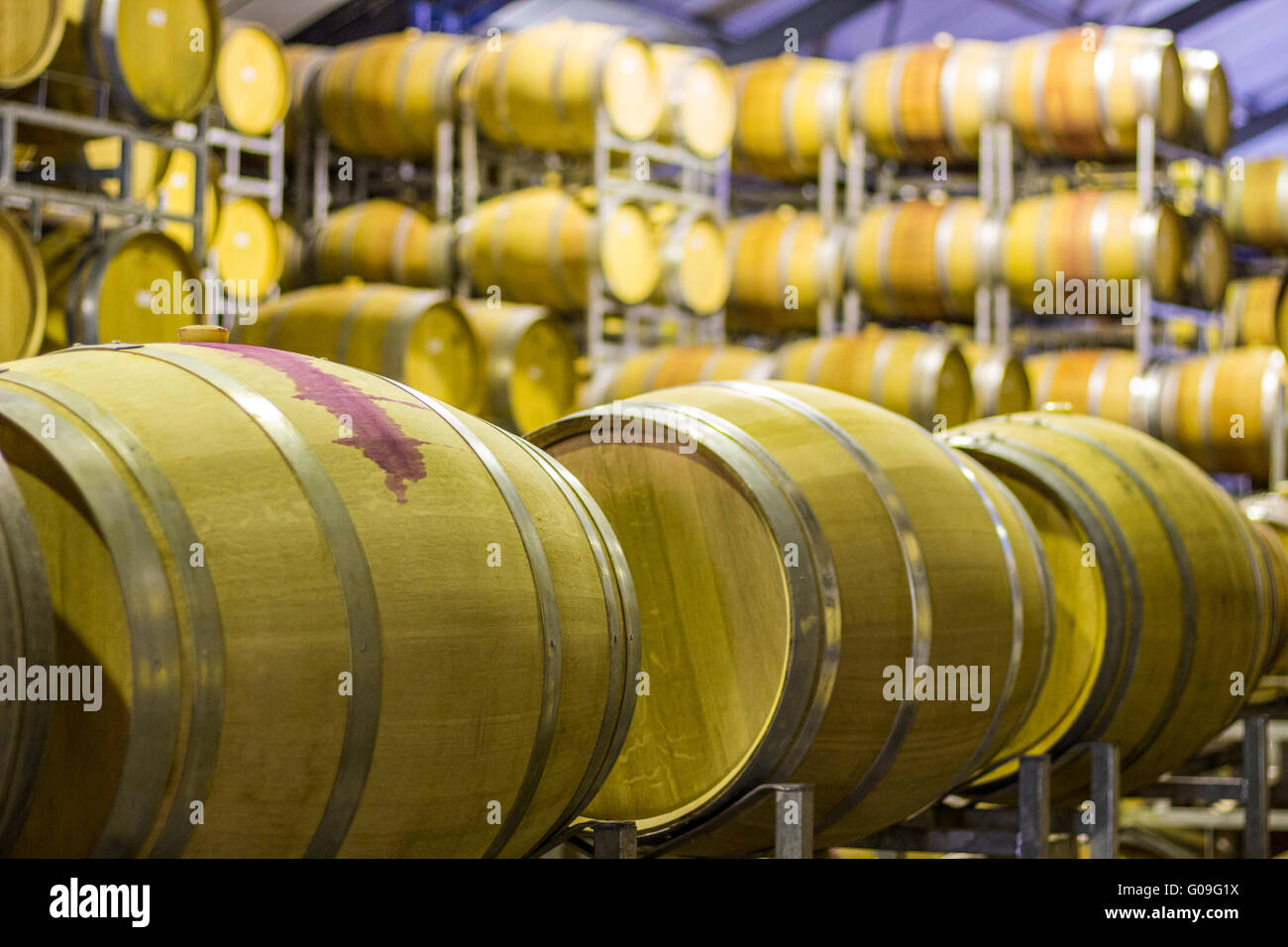 Wine barrel Stock Photo