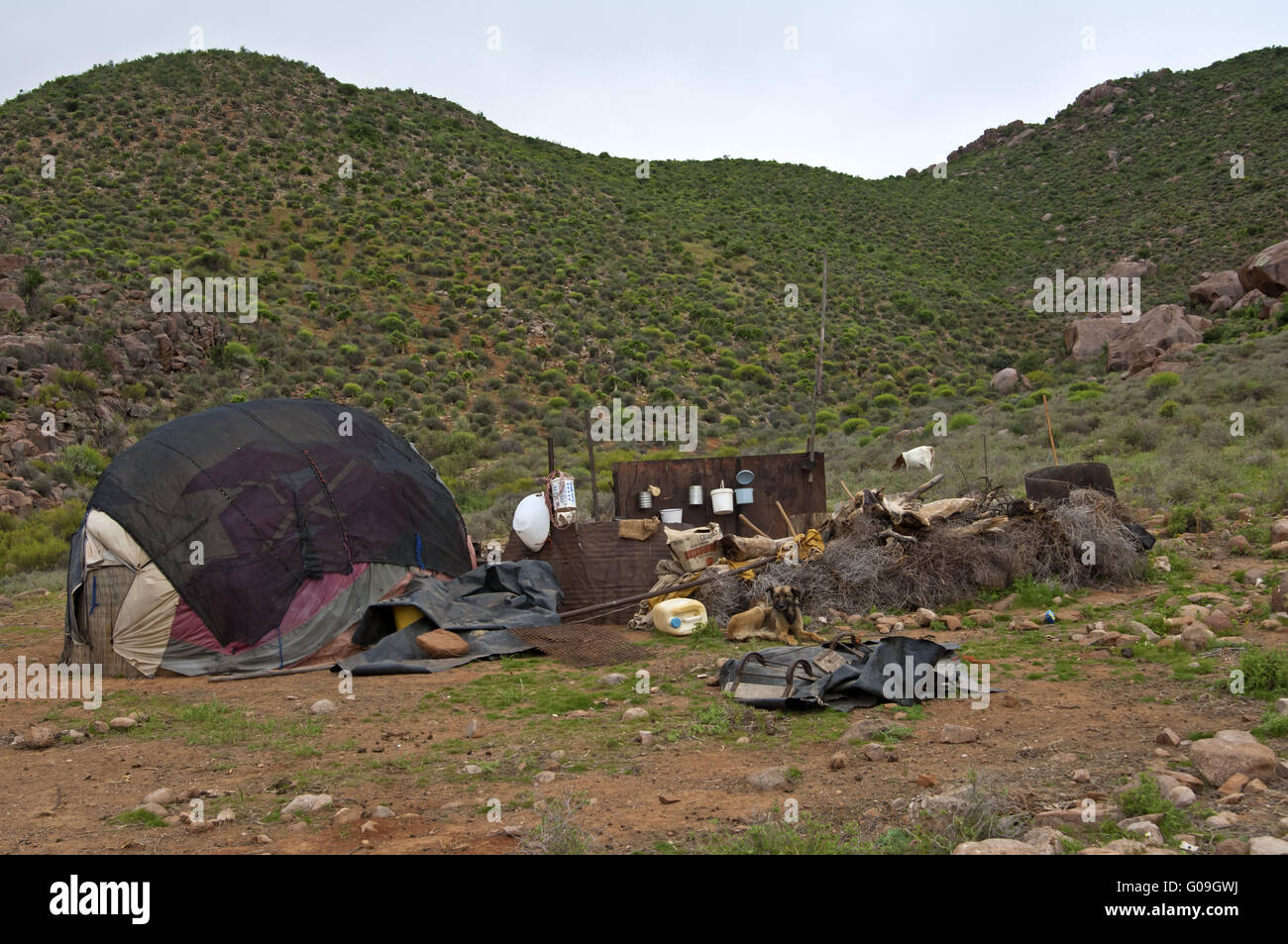 Camp site with traditional round hut of Nama herde Stock Photo