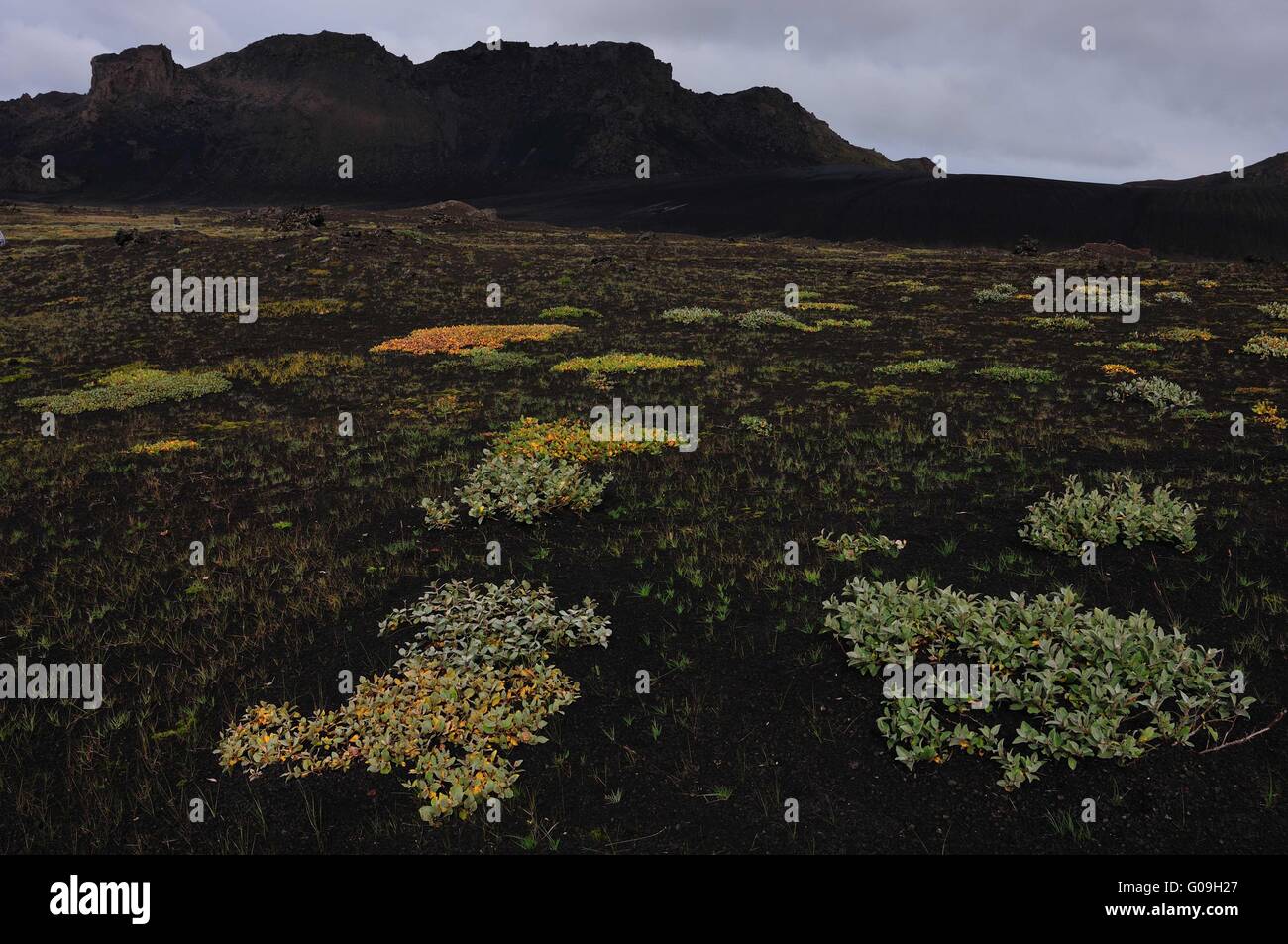 Landscape near volcano Katla, Iceland Stock Photo