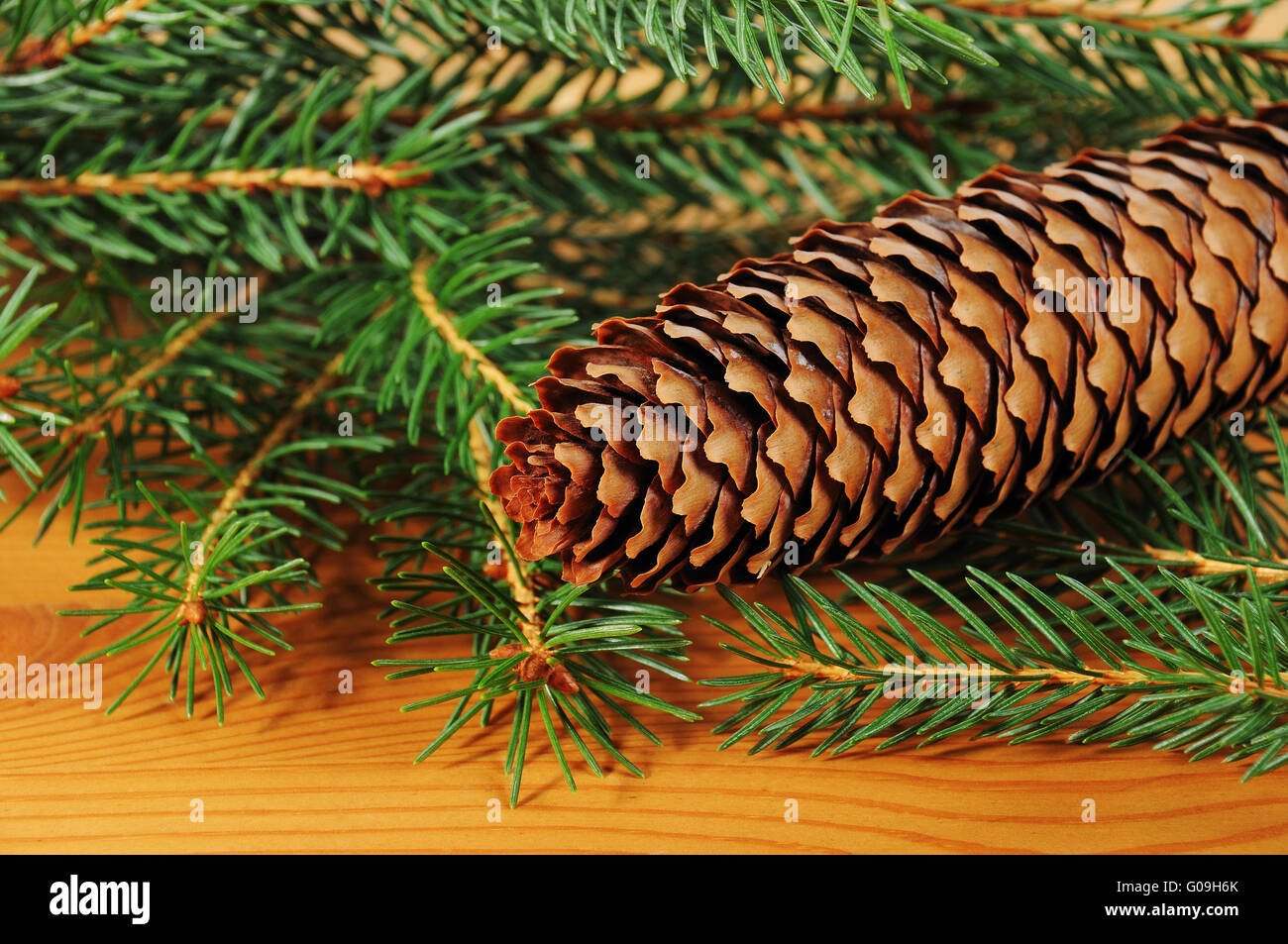 advent season decoration with fir tree branch Stock Photo - Alamy