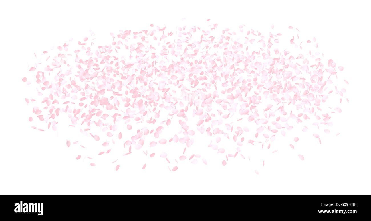 Pink Flower Petals, Cherry Blossoms Stock Photo Alamy