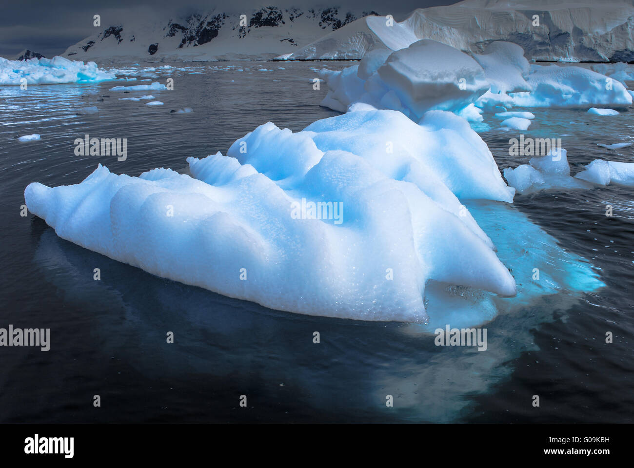 Ice flows, Paradise Bay, Antarctica Stock Photo
