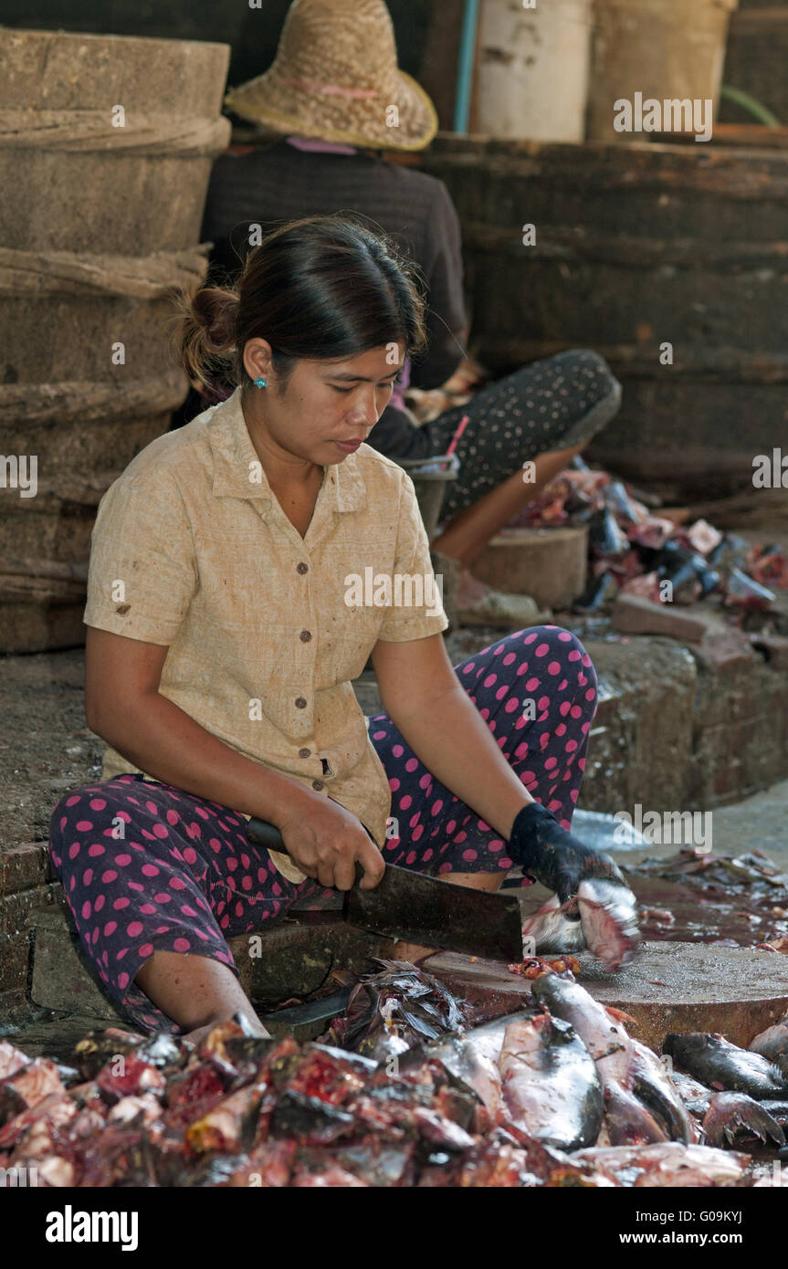 Woman cleaning fish, Battambang, Cambodia Stock Photo