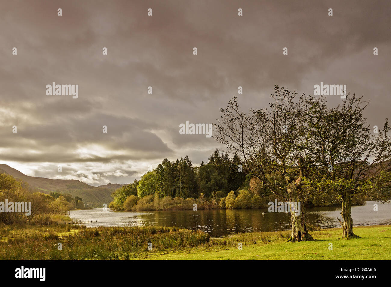 Derwent Water  View Lake District Cumbria UK Stock Photo
