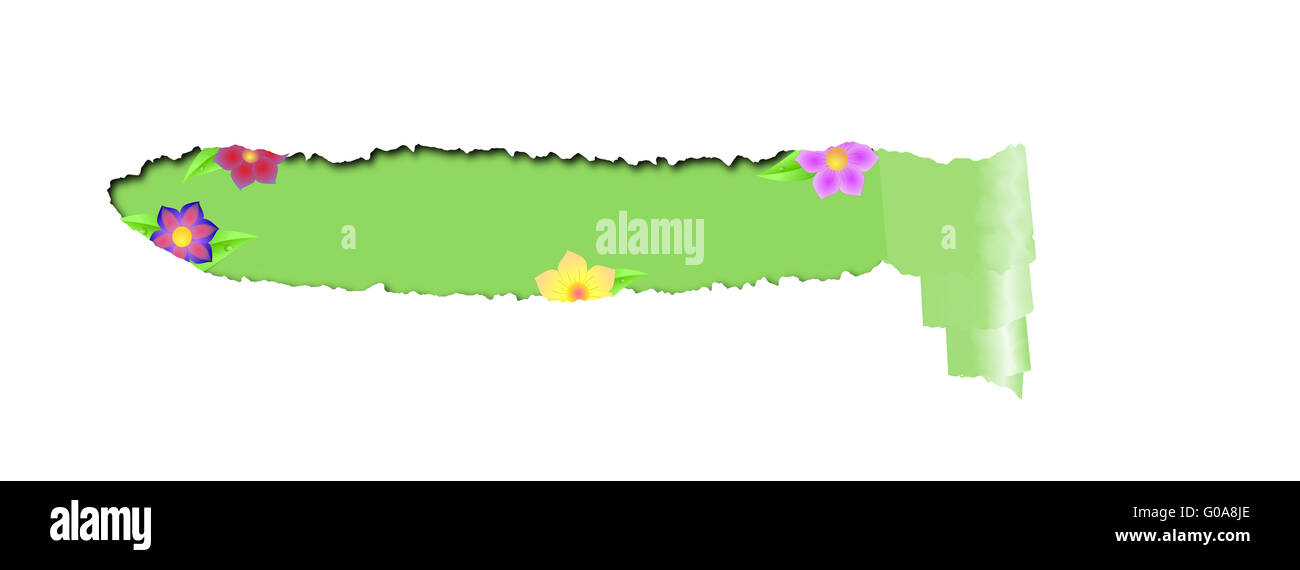 Torn paper with green space for text with flowers Stock Photo