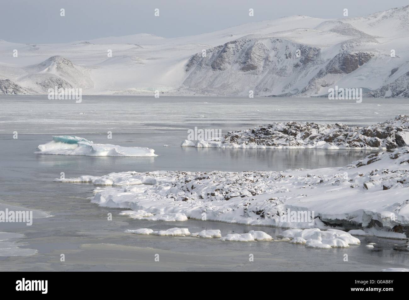 Nature of Antarctic. Ices and icebergs Stock Photo
