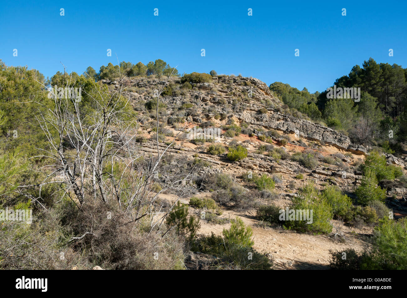 Mediterranean shrublands over limestones and sandstones, with esparto, lavender, rosemary, kermes oak, junipers, etc. Stock Photo