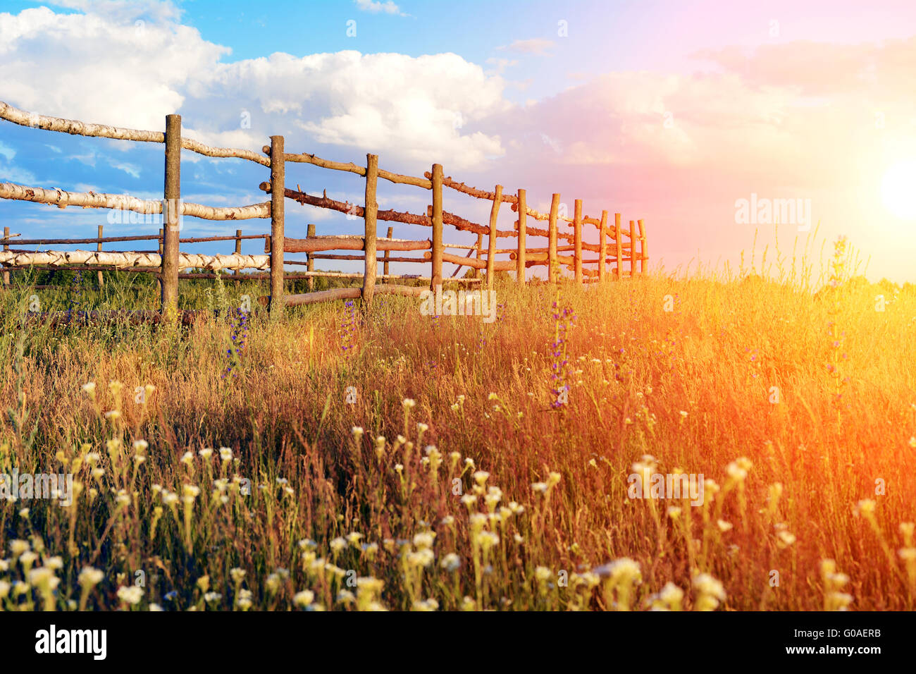 Fence in the green field under blue cloud sky Stock Photo - Alamy
