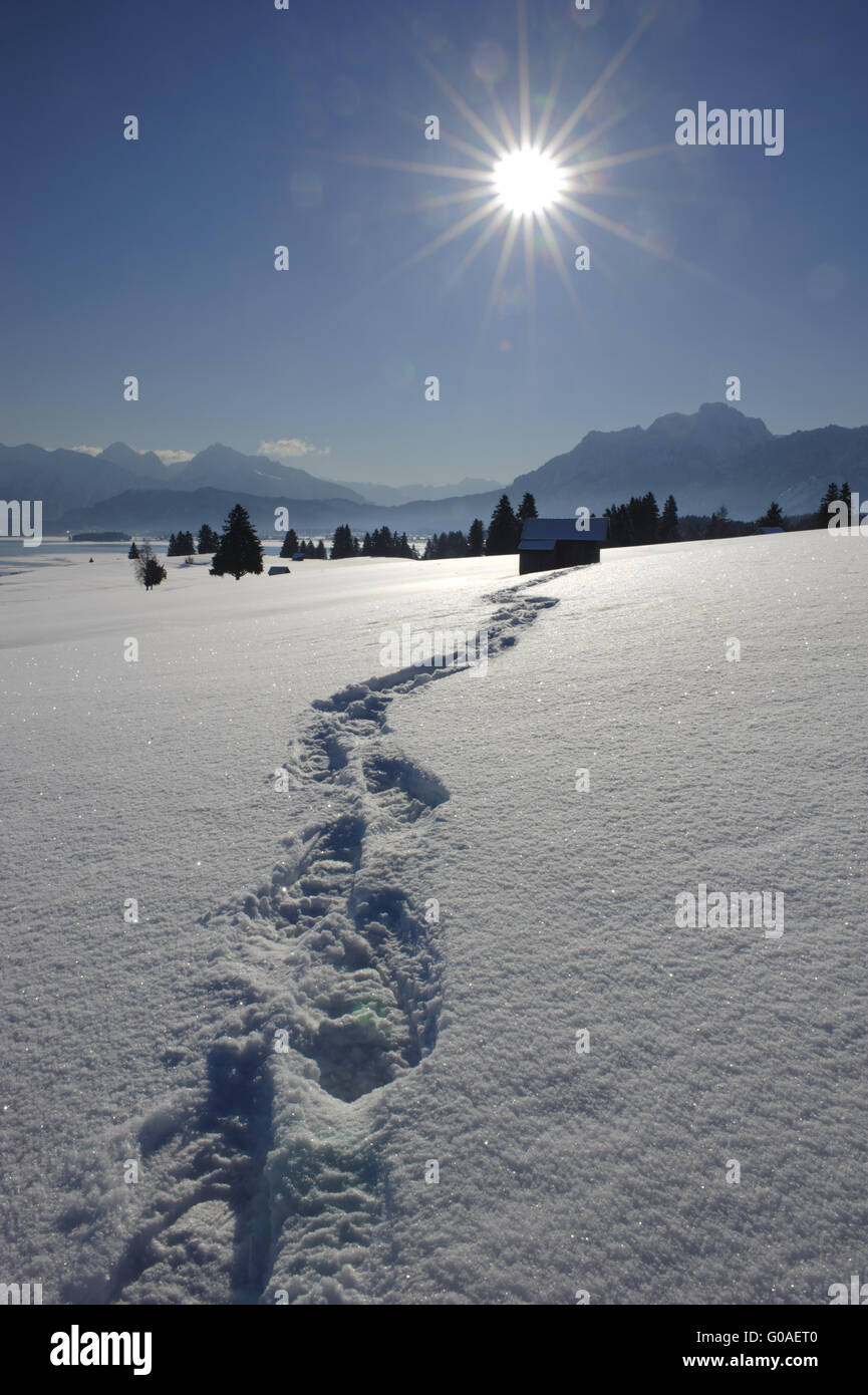 snowshoe walk in fresh powder snow in Bavaria Stock Photo
