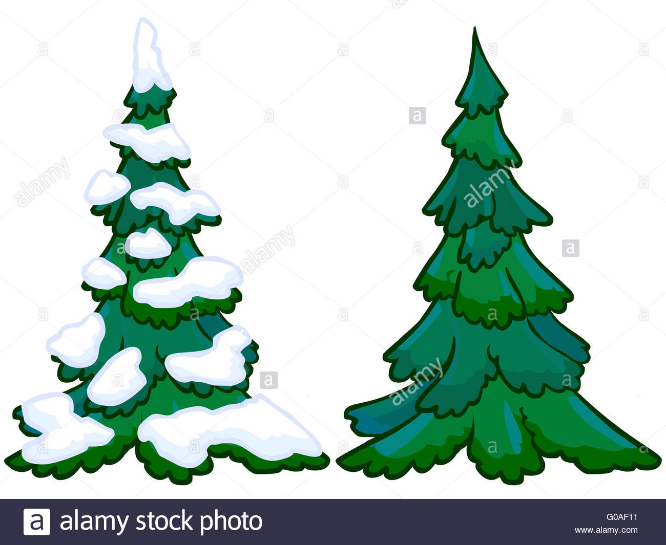 Cartoon Illustration Spruce Tree Stock Photos & Cartoon Illustration