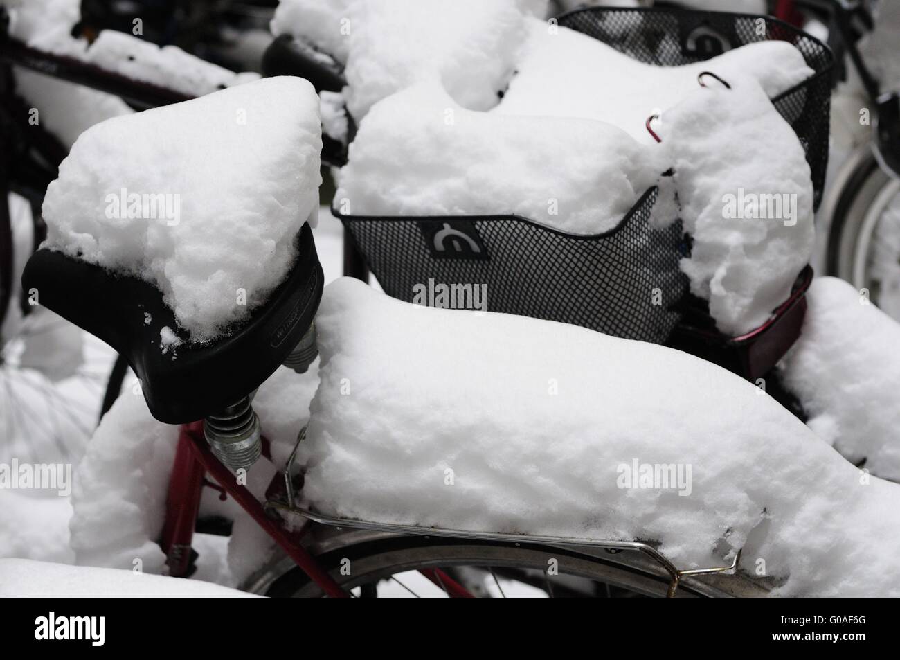bicycle saddle, Berlin Winter Stock Photo