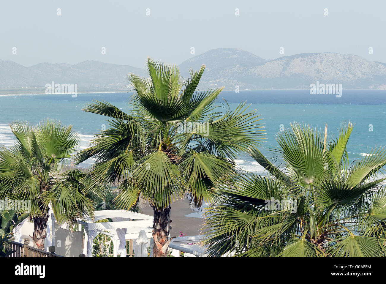Palm trees against the turquoise Mediterranean Stock Photo
