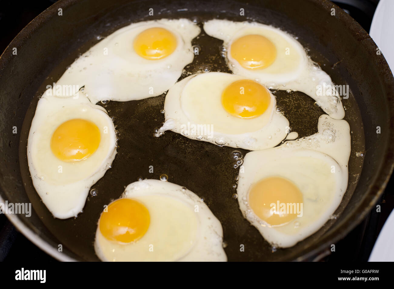 Six fried eggs in a pan with oil, for breakfast Stock Photo