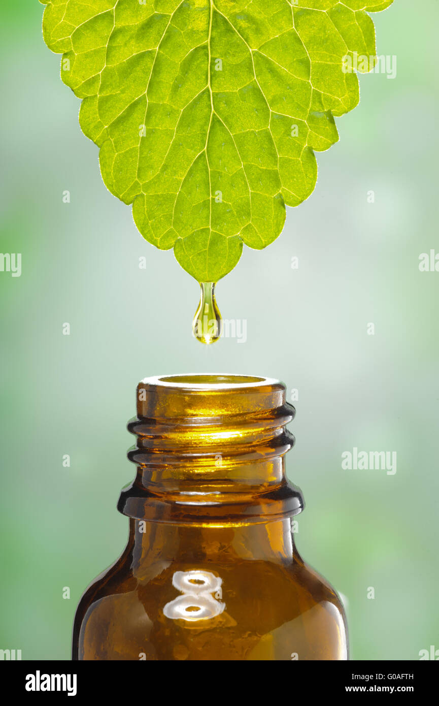 drop of medicinal plant falls into medical bottle Stock Photo