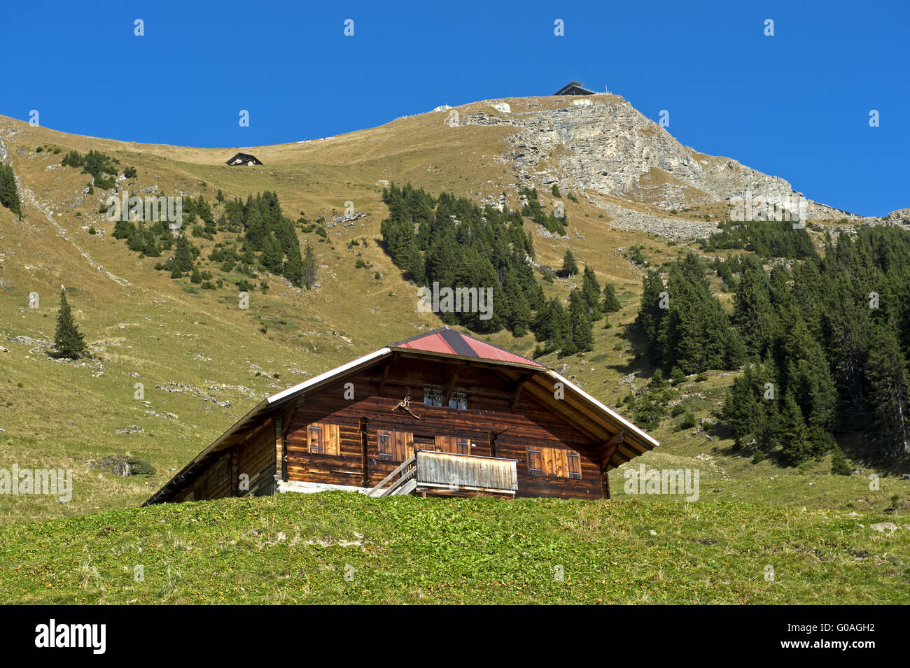 mountain pasture Alp Oberniesen, Switzerland Stock Photo