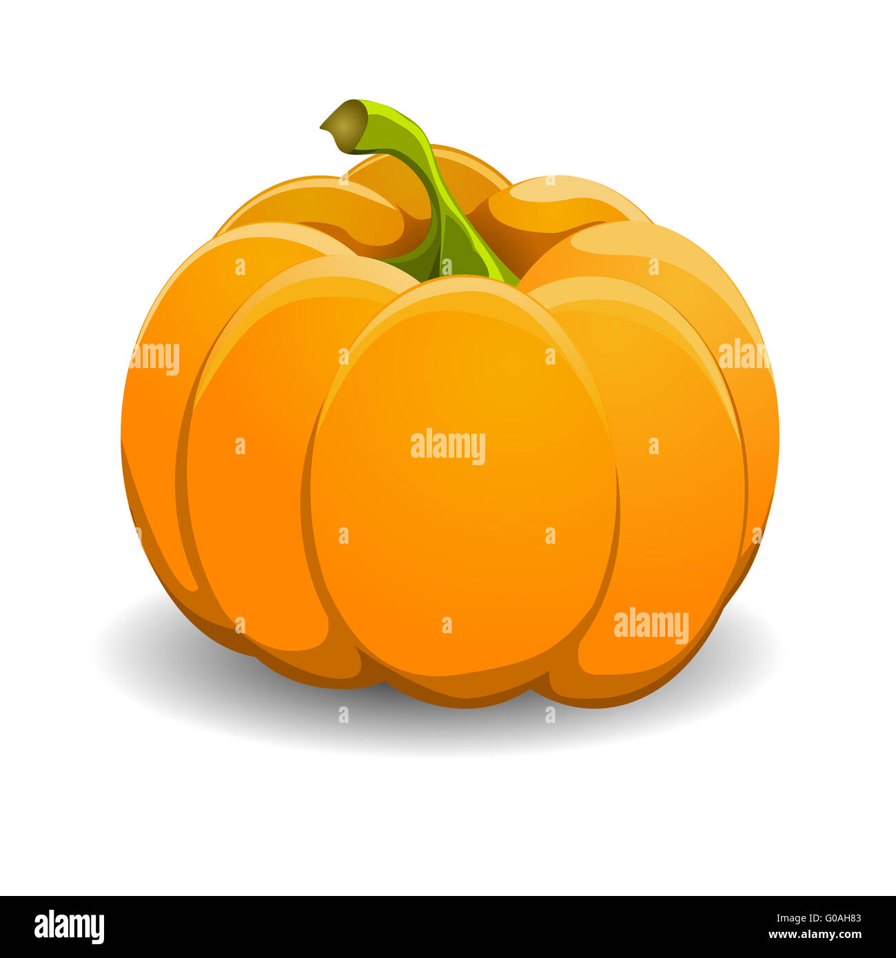 Pumpkin isolated on white. vector illustration. Stock Photo