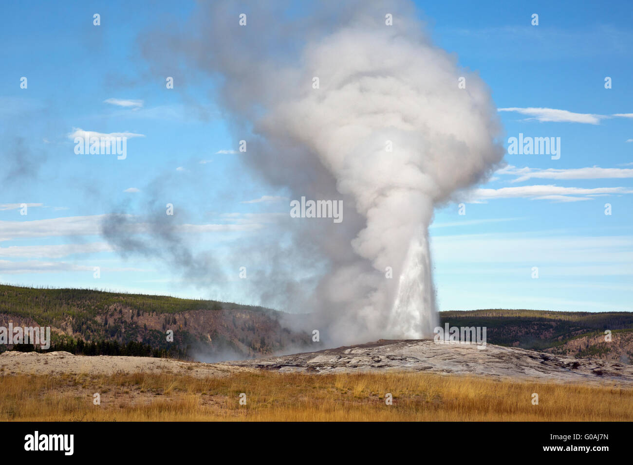 WY01589-00...WYOMING - Old Faithful Geyser in the Upper Geyser Basin of Yellowstone National Park. Stock Photo