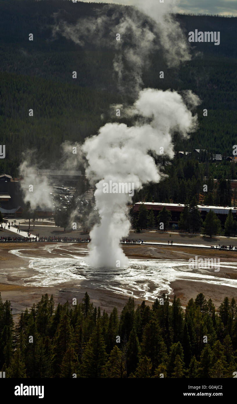 WY01599-00...WYOMING - Old Faithful Geyser from Observation Point in the Upper Geyser Basin of Yellowstone National Park. Stock Photo