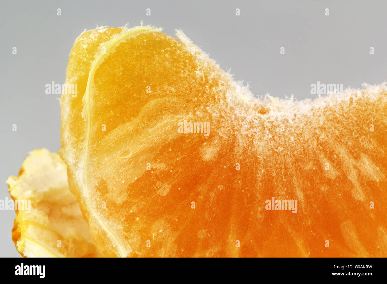Close up orange macro studio shot hi-res stock photography and images ...