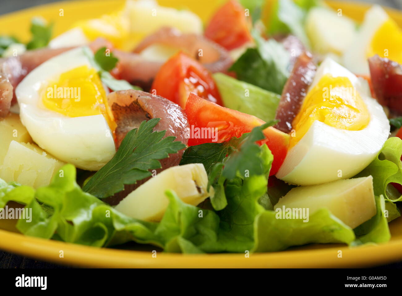 Colorful salad with anchovies, tomatoes and eggs Stock Photo Alamy