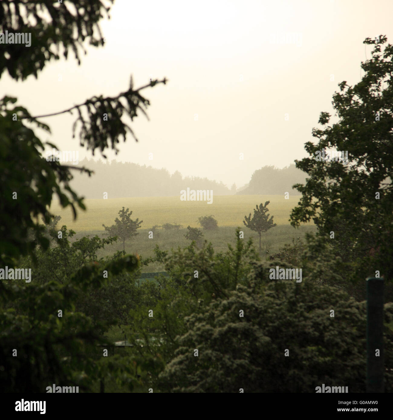 Lover for nature hi-res stock photography and images - Alamy