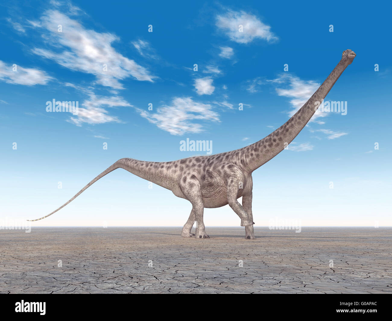 Dinosaurier diplodocus hires stock photography and images Alamy