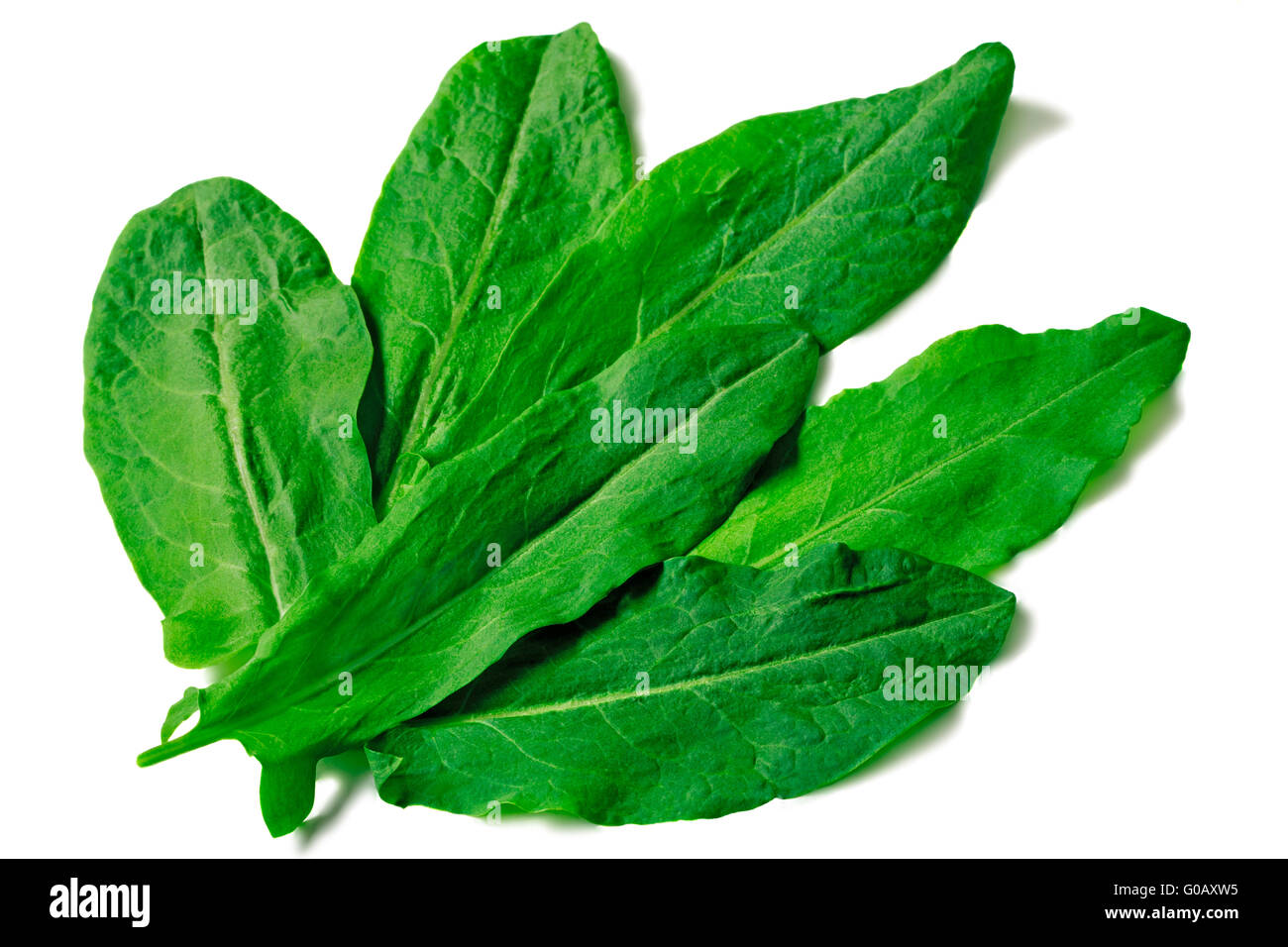 Green leaves of spinach on a white background Stock Photo - Alamy