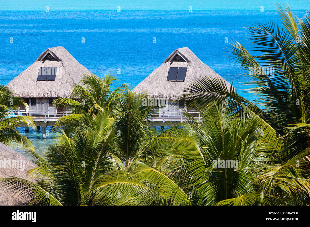seacoast with palm trees and small houses on water Stock Photo
