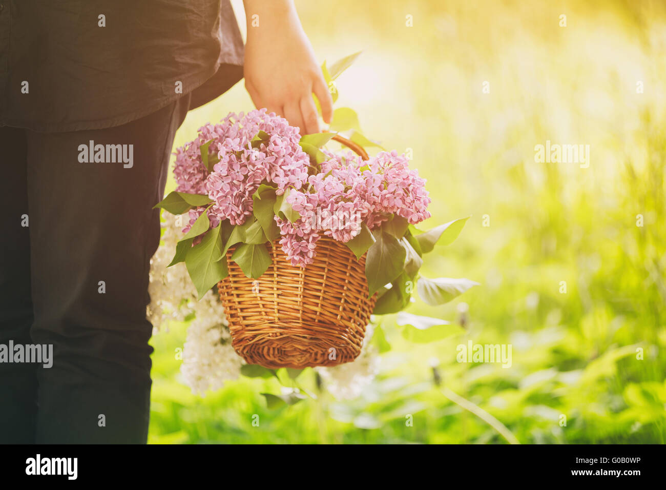 female teen girl hold basket full of lilac flowers Stock Photo