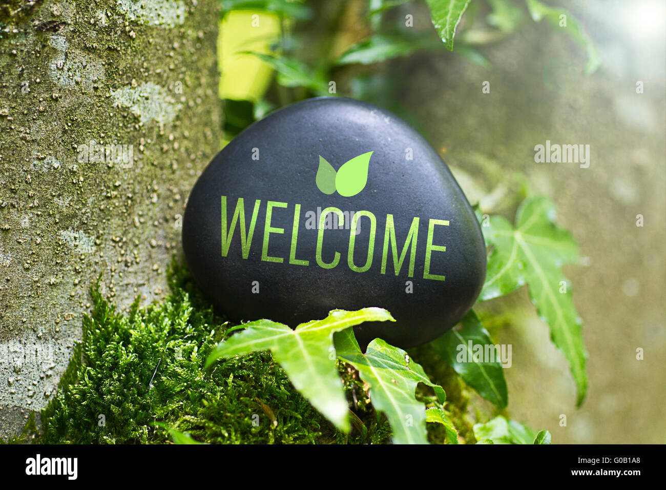 The Word  „Welcome” on a stone in nature Stock Photo