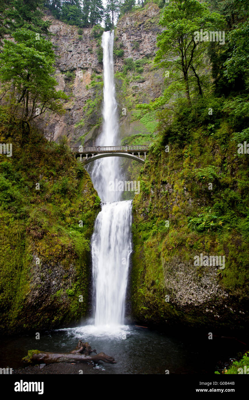 Multnomah Falls on the Oregon side of the Columbia River Gorge.  Showing a bridge about mid fall which tourists can transit. Stock Photo