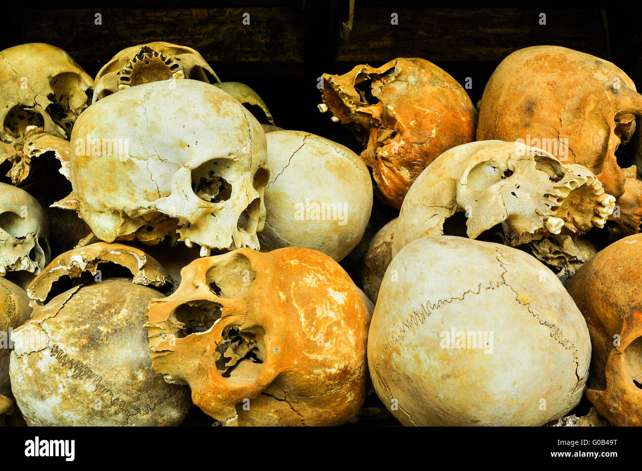 Skulls from the Killing Fields in Cambodia, this happened from around 1975 till 1979. Stock Photo