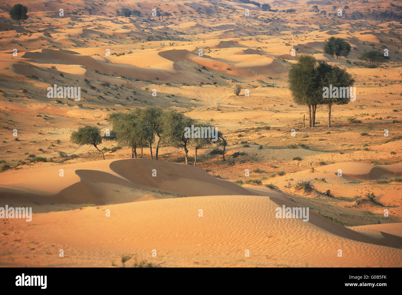 Desert rub al khali Stock Photo