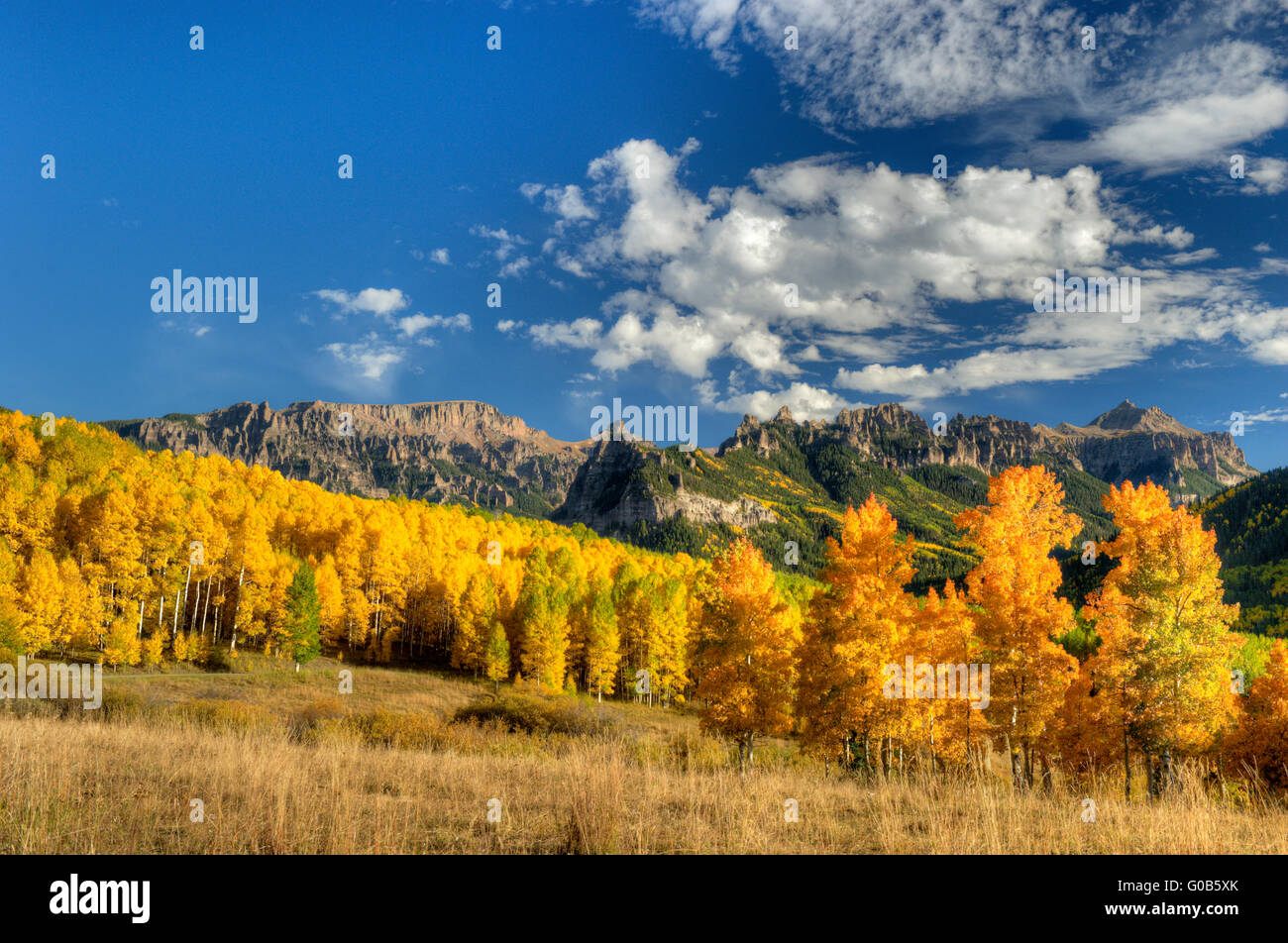 Aspens in full fall color in Colorado's San Juan mountains Stock Photo ...