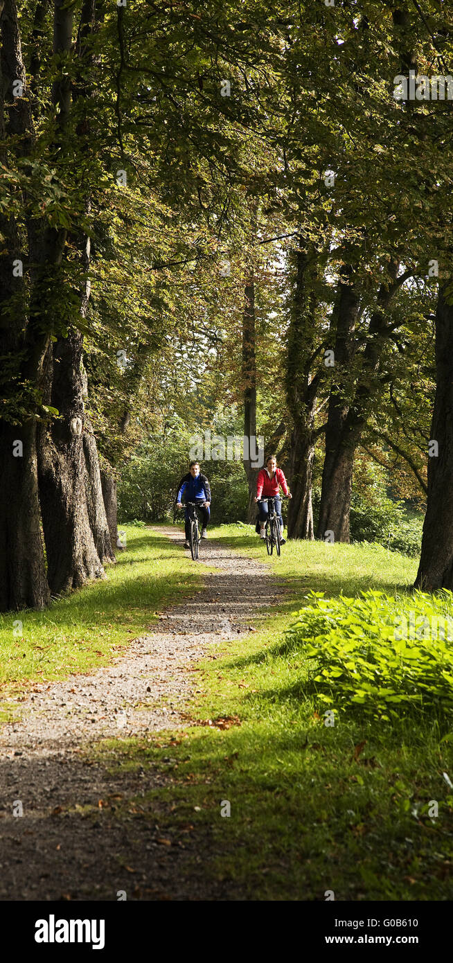 Cyclists on the Ruhr Valley Cycle Route, Germany Stock Photo
