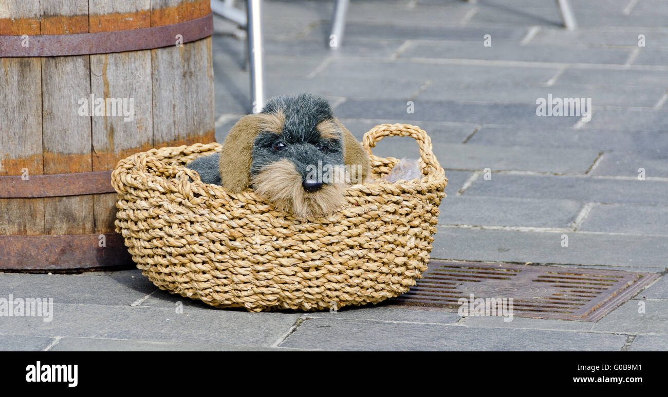 plush toy shaped like a wire-haired dachshund Stock Photo