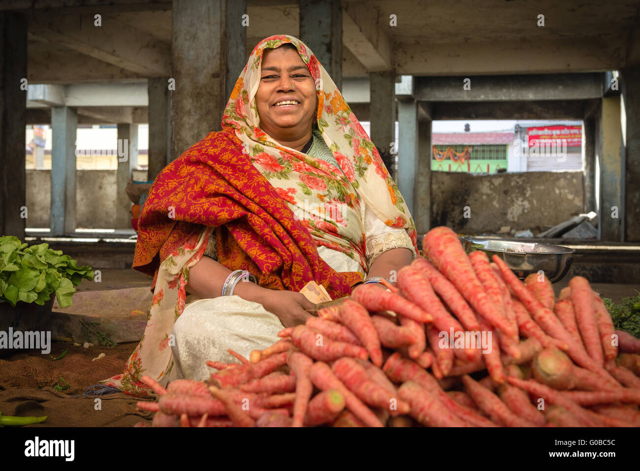 Rajasthani woman selling vegetables in Udaipur market Stock Photo Alamy