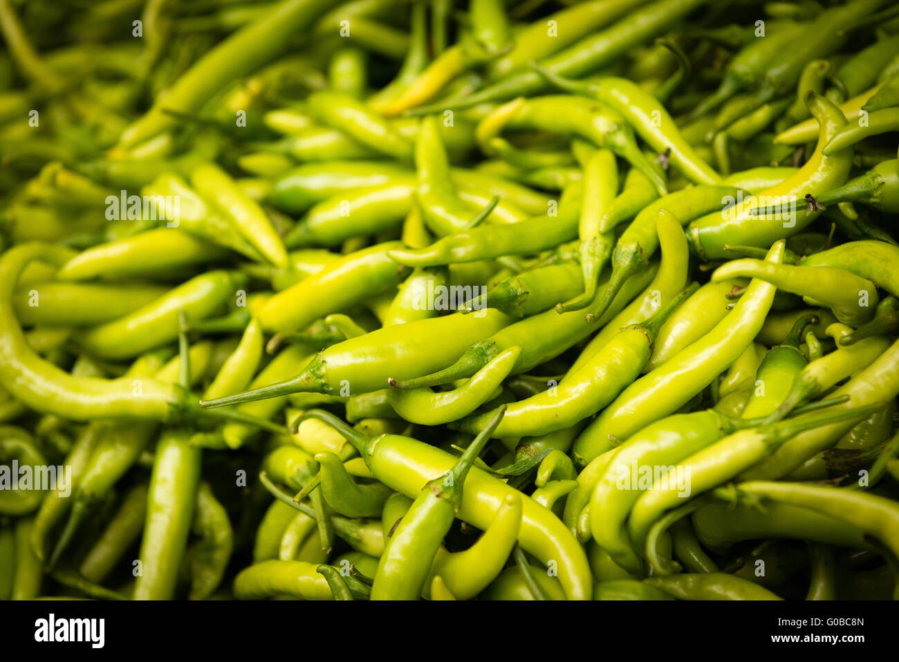 Indian Green Chillies High Resolution Stock Photography and Images - Alamy