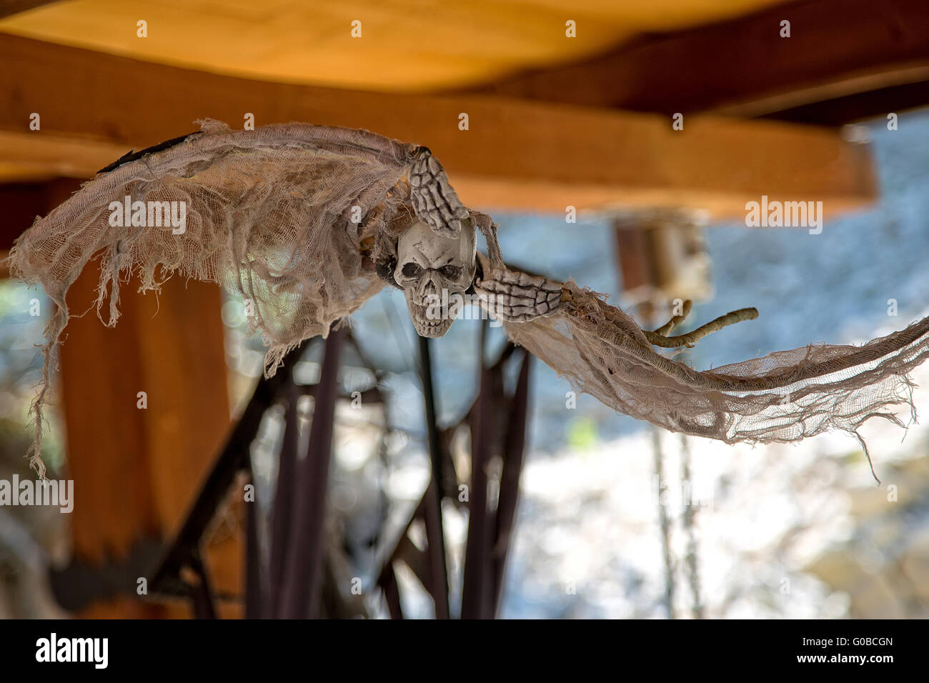 Flying skull, Halloween scenery Stock Photo