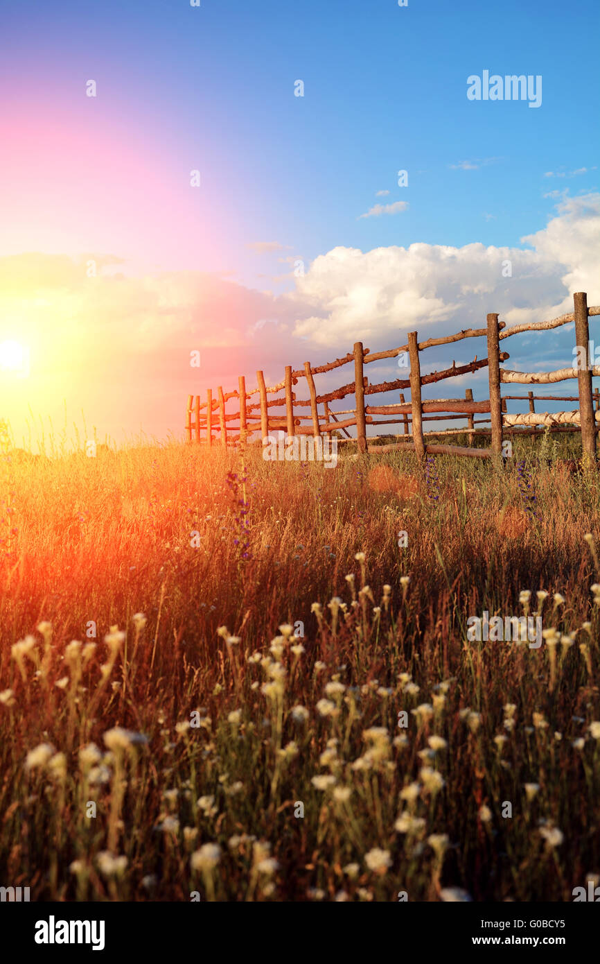 Fence in the green field under blue cloud sky Stock Photo - Alamy