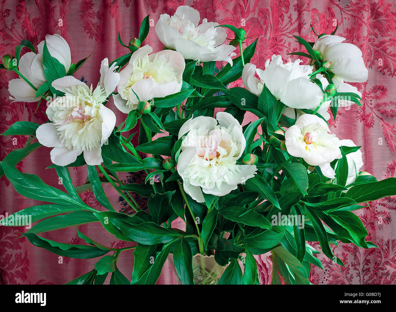 Bouquet of white peonies on a beautiful background Stock Photo - Alamy