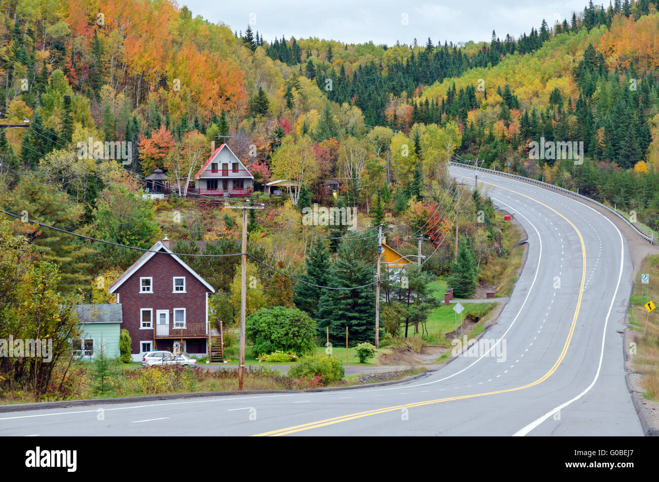 Autumn road Stock Photo