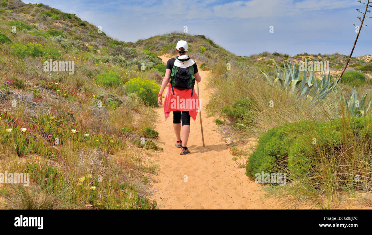 Woman with backpack  crossing sand dunes of trekking trail Rota Vicentina Stock Photo