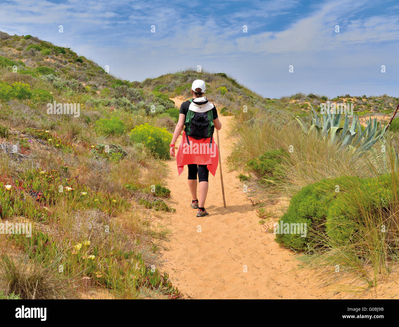 Woman with backpack  crossing sand dunes of trekking trail Rota Vicentina Stock Photo