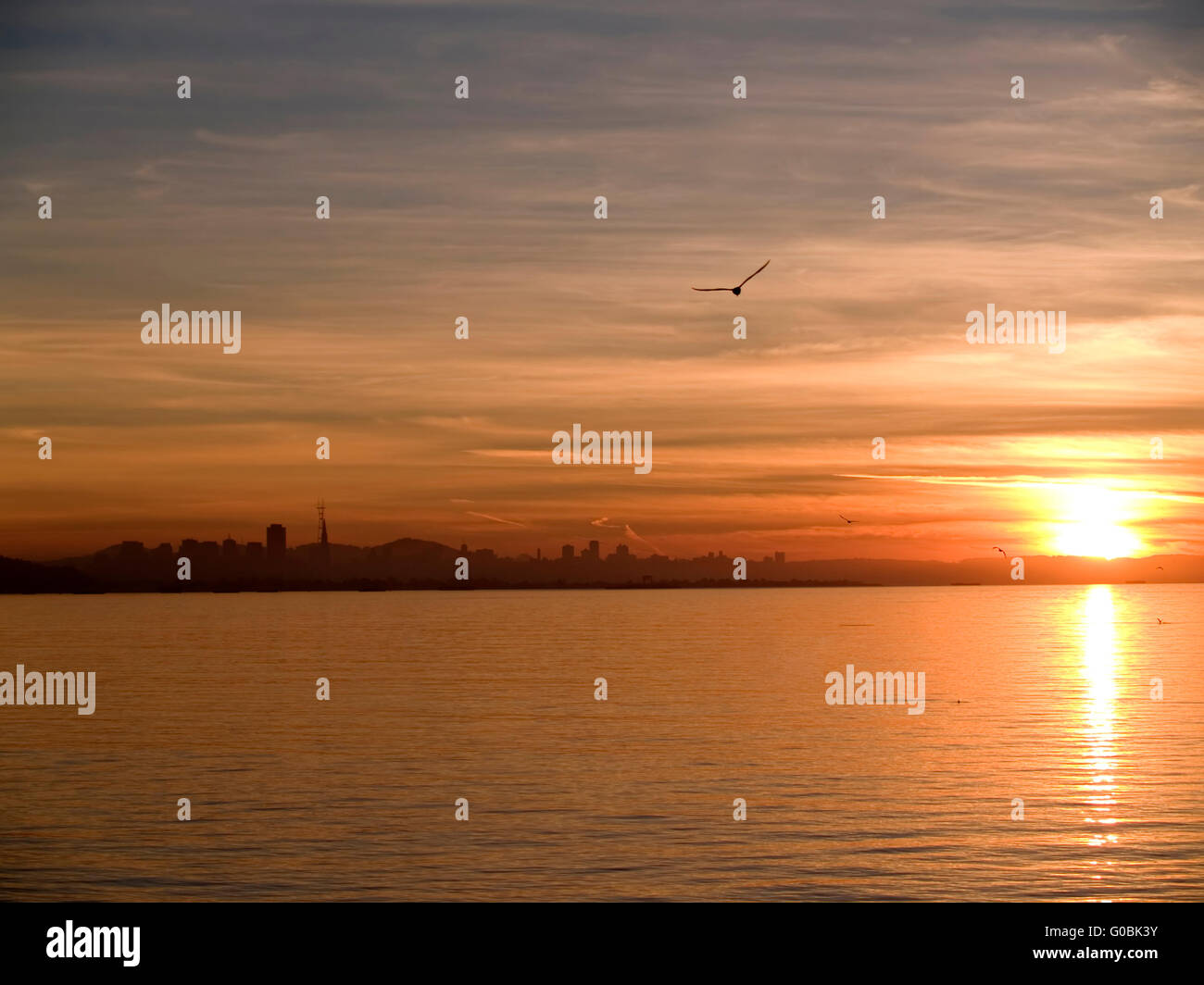 San Francisco from Berkeley Sunset Bay Gulls and Clouds Stock Photo